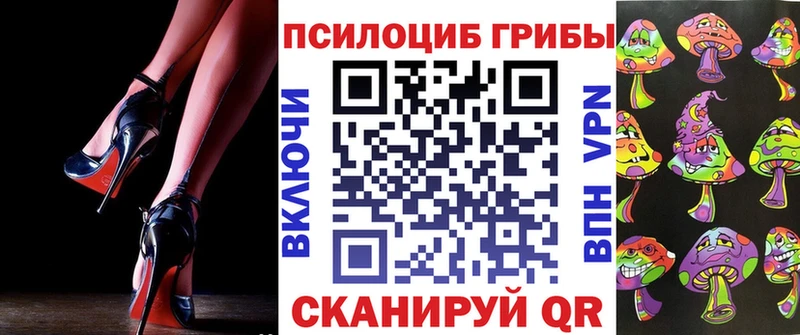 Псилоцибиновые грибы мицелий  Высоковск 