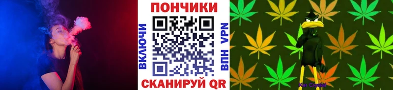 как найти наркотики  Высоковск  Бошки марихуана индика 